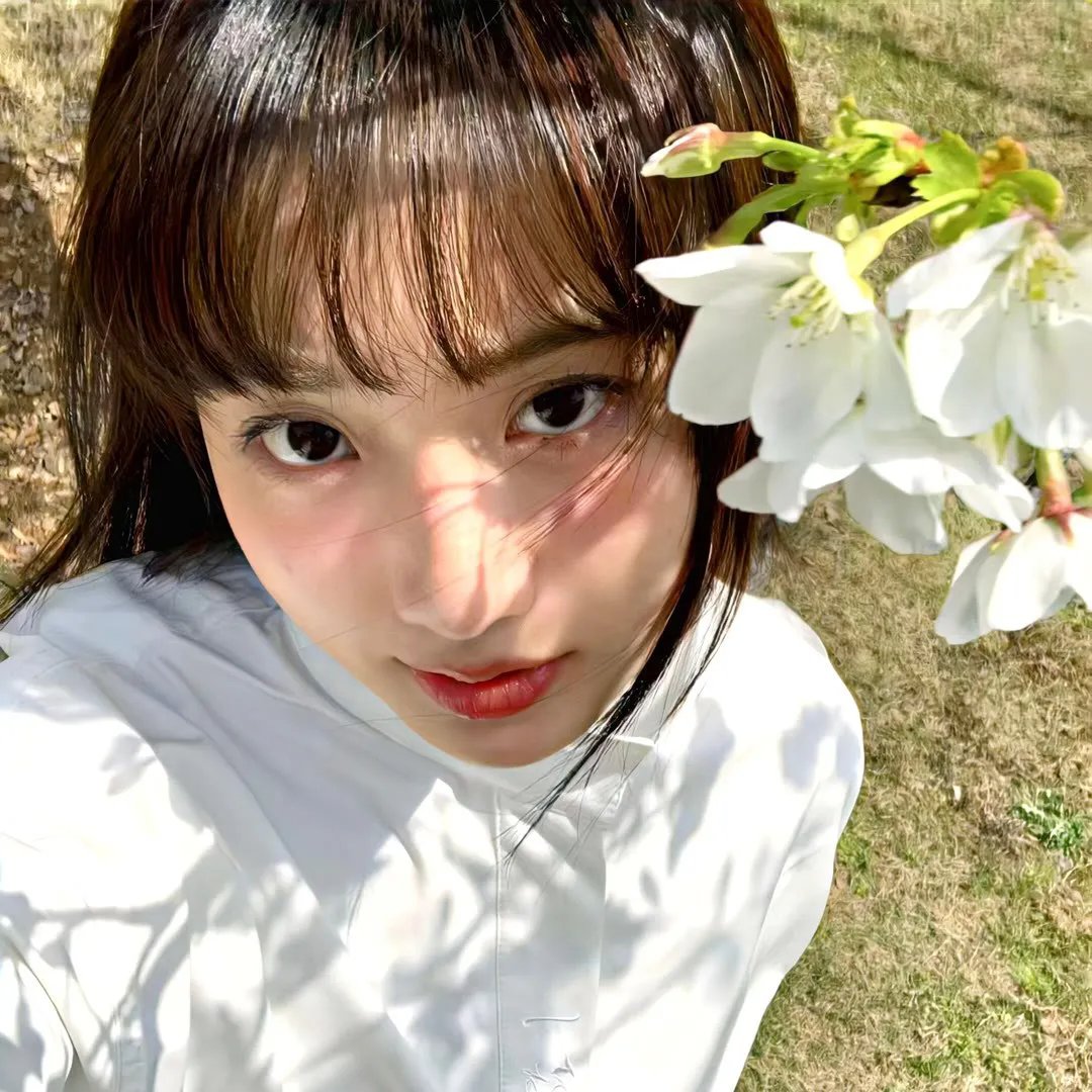 南家三姐妹